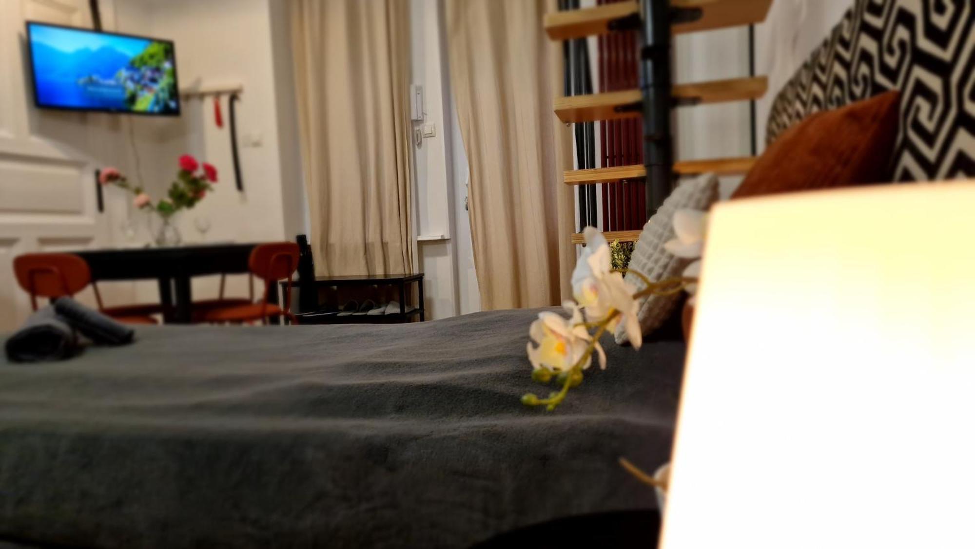 Bercsenyi Apartments - Close To The Gellert Thermal Bath ブダペスト エクステリア 写真