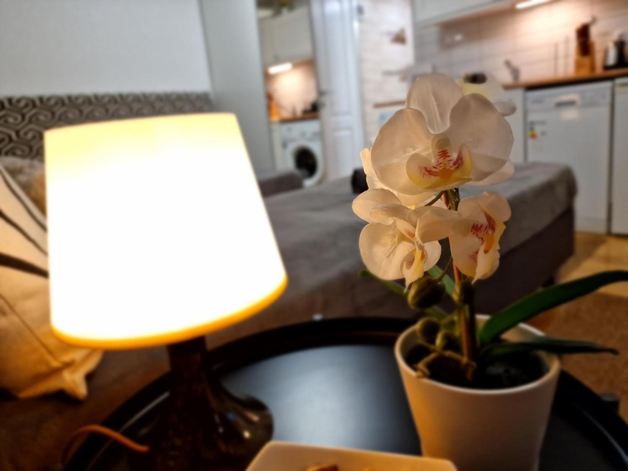 Bercsenyi Apartments - Close To The Gellert Thermal Bath ブダペスト 部屋 写真