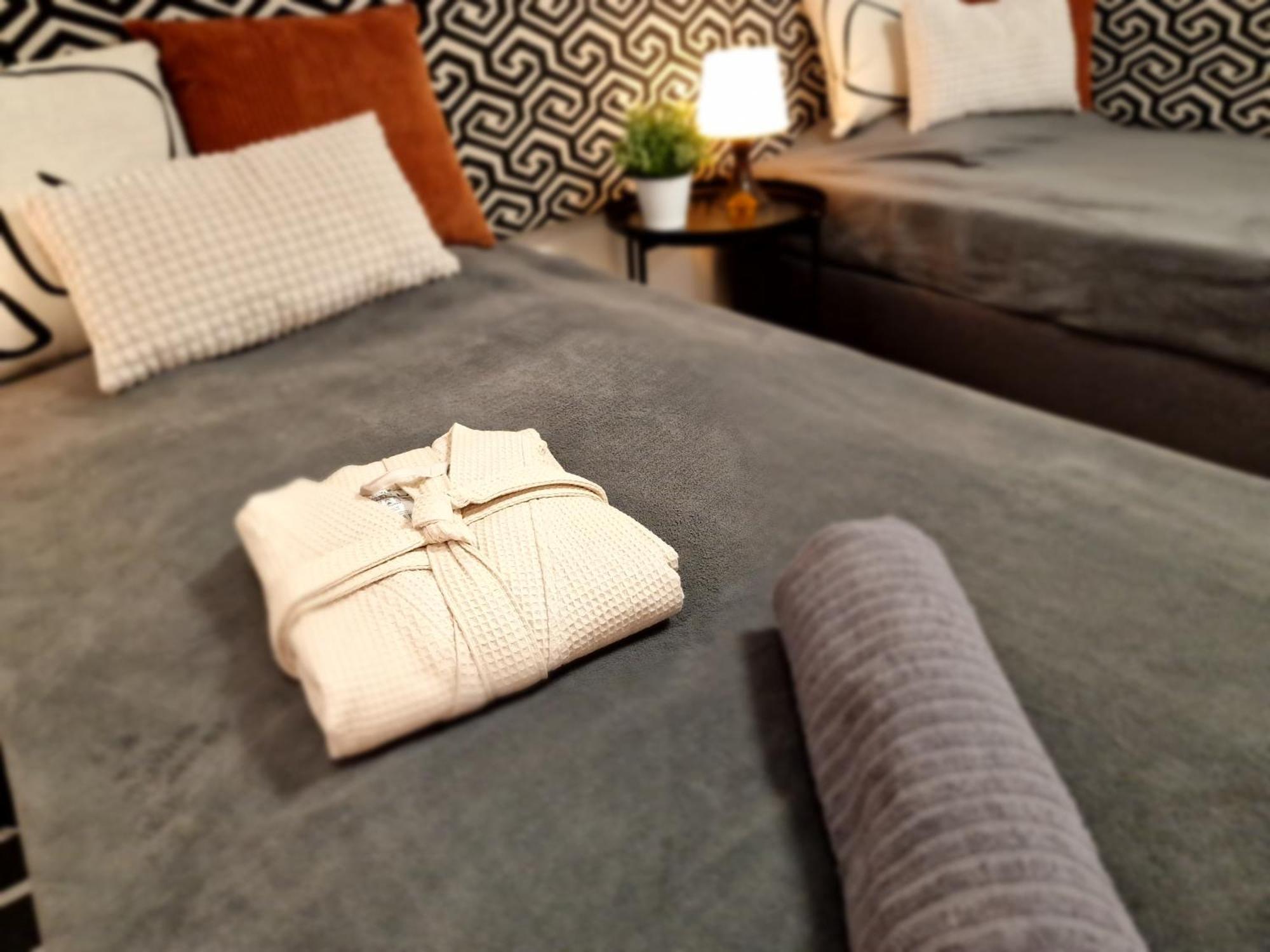 Bercsenyi Apartments - Close To The Gellert Thermal Bath ブダペスト 部屋 写真