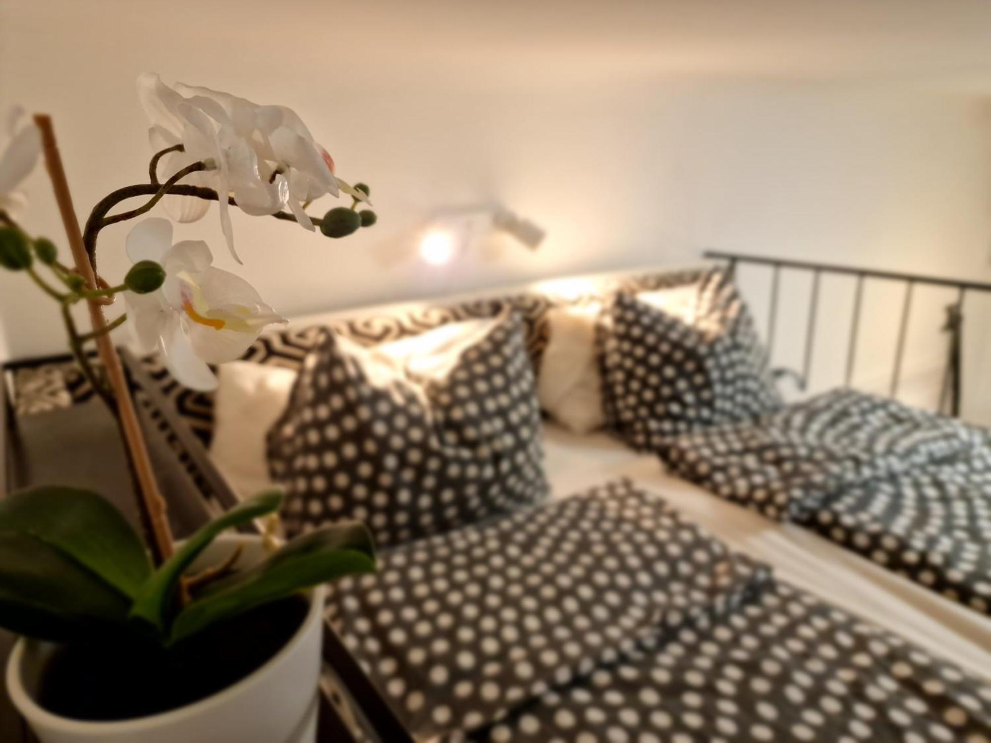 Bercsenyi Apartments - Close To The Gellert Thermal Bath ブダペスト 部屋 写真